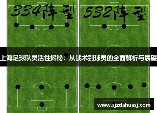 上海足球队灵活性揭秘：从战术到球员的全面解析与展望