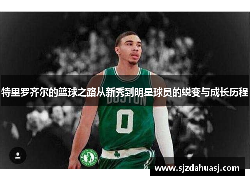 特里罗齐尔的篮球之路从新秀到明星球员的蜕变与成长历程